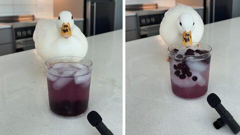 When you order a cocktail you've never heard of