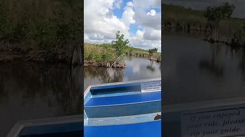 Airboat drifting in the shallows of south Florida!