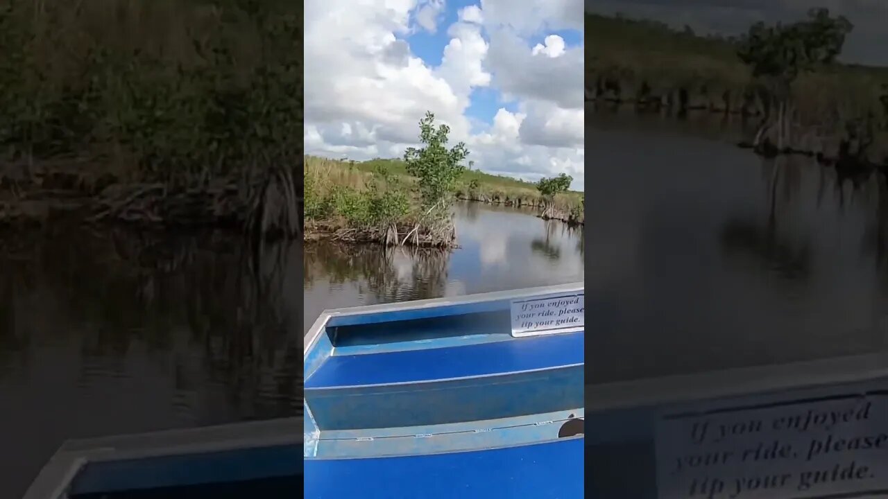 Airboat drifting in the shallows of south Florida!