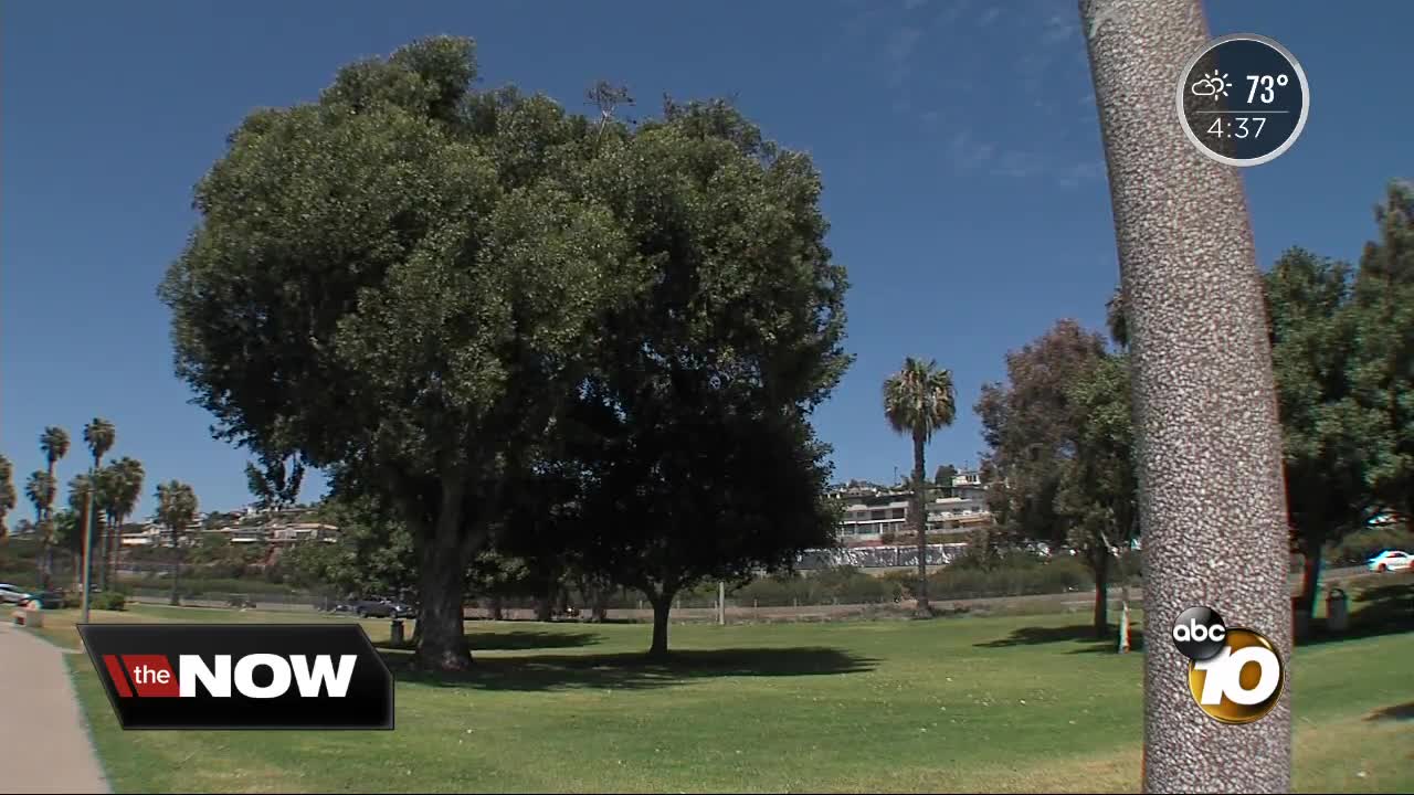 San Diego settles with woman injured by Mission Bay tree