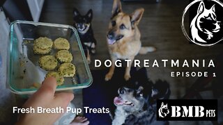 Welcome to DOGTREATMANIA! - Episode 1 "Fresh Breath Treats"