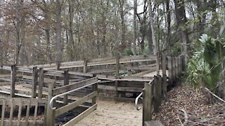 Fanning Springs State Park Part 6- Suwannee, Florida Country Xmas Trip- #4K #fyp #Walks #DolbyVision