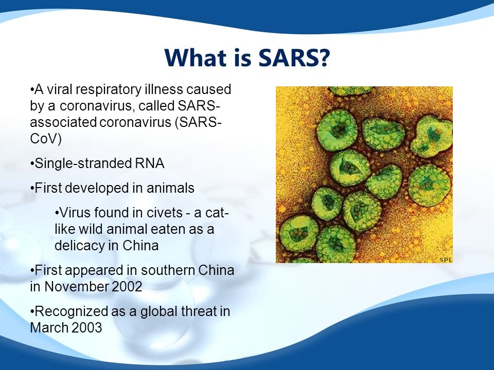 Эндрю Кауфман "Вирусы SARS-CoV (SARS, ТОРС) не были выделены, то есть их не существует!"