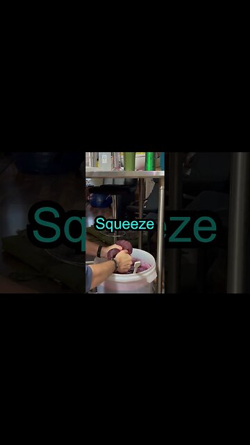 #blueberry #wine day 4 #fermentation #shorts