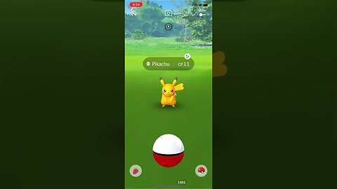 Shiny Compilation