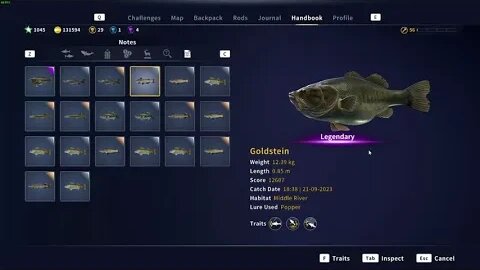 Call Of The Wild The Angler Legendary Fish Goldstein location 21 September 2023