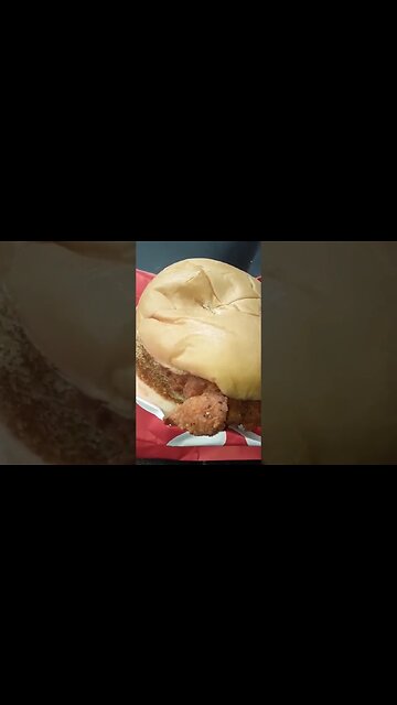 This may be the best chicken sandwich around 🐔😻🇺🇸 #shorts