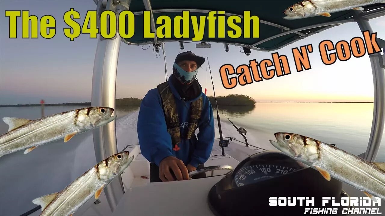 The $400 Ladyfish | Offshore Fishing Catch N Cook