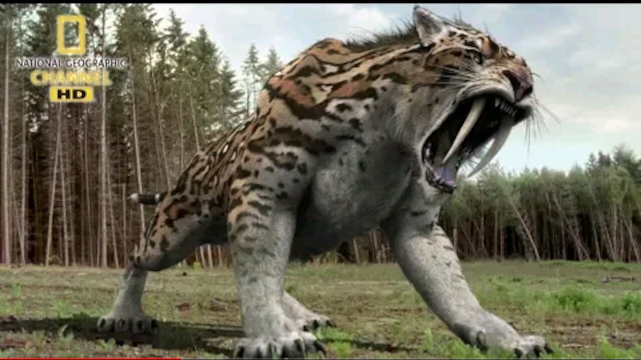 National geographic Documentary - Prehistoric predators - Wildlife Animals