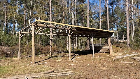 How To Build A DIY Log Shed From Trees On The Homestead Part 2!!