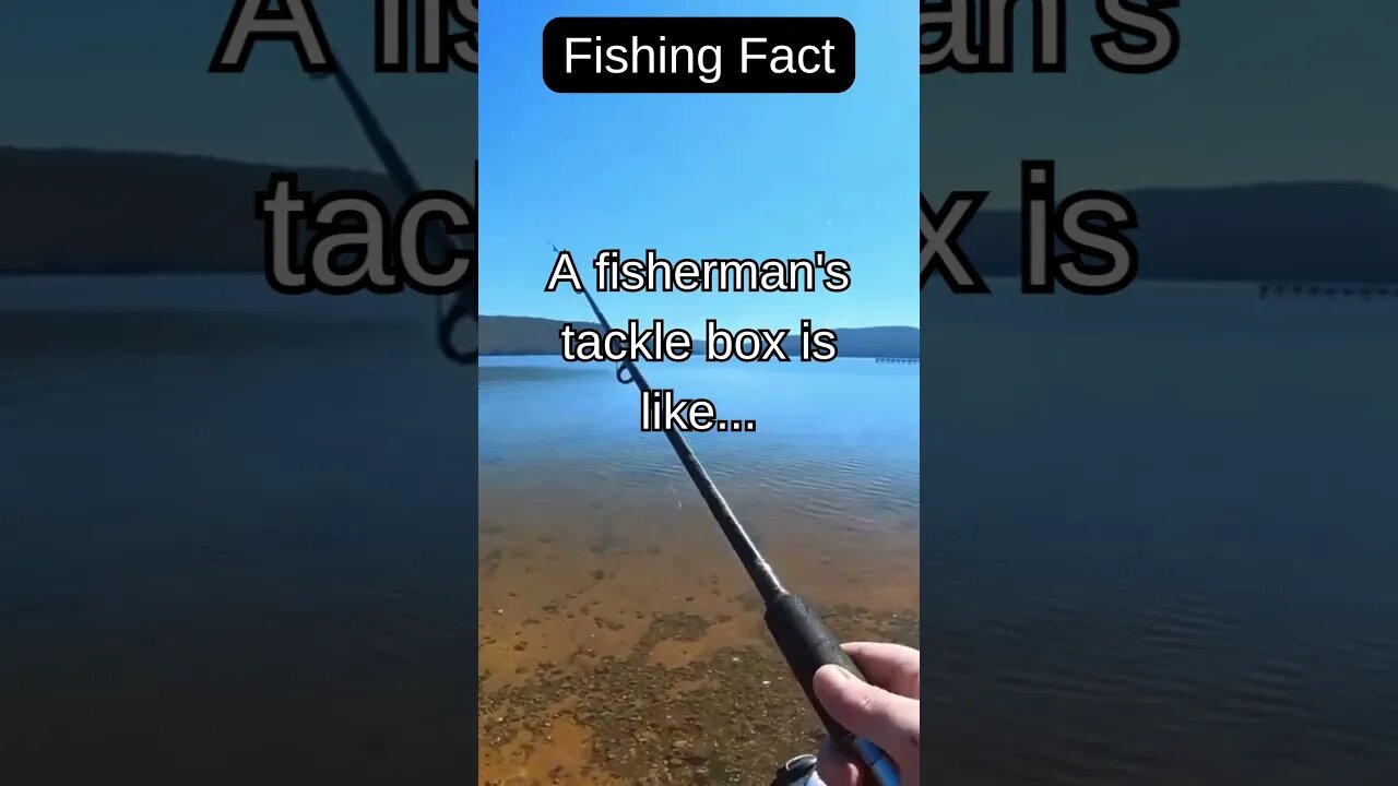 Fishing Facts #shorts #fishing #fishingfanatics