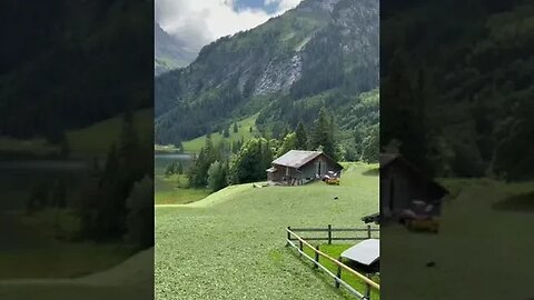 Amazing Nature Tiktok no news