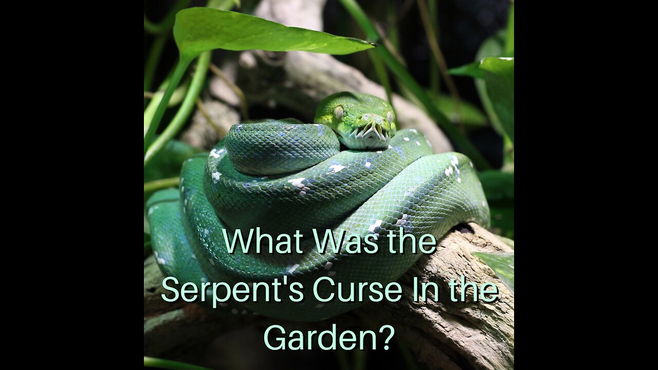 What Was the Serpent's Curse in the Garden?