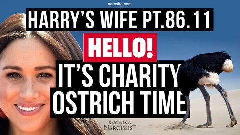 Harry's Wife 86.11 : Hello! It's Charity Ostrich Time (Meghan Markle)