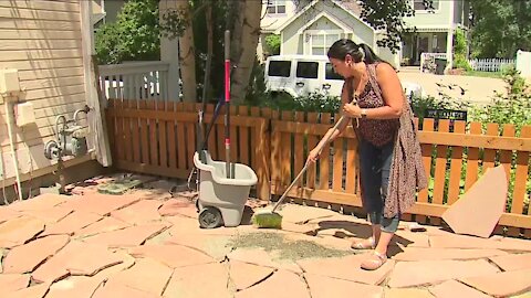 Longmont landscaper under scrutiny after new complaints