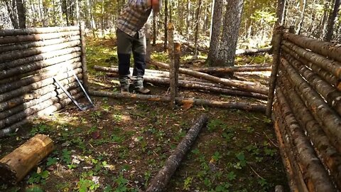 8+The jungle builds a survival cabin