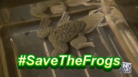 #SaveTheFrogs