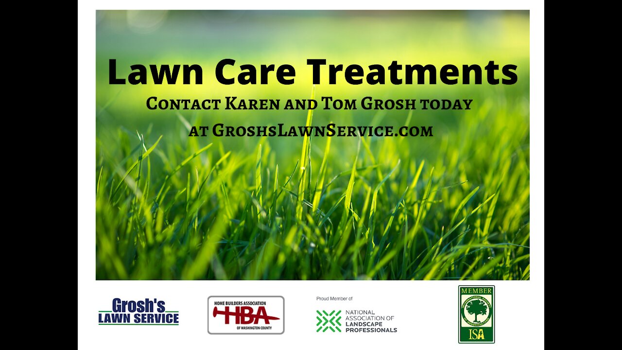 Lawn Care Treatments Clear Spring MD Lawn Service