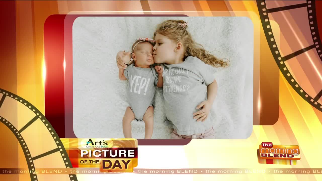 Our Art's Cameras Plus Picture of the Day for March 23!