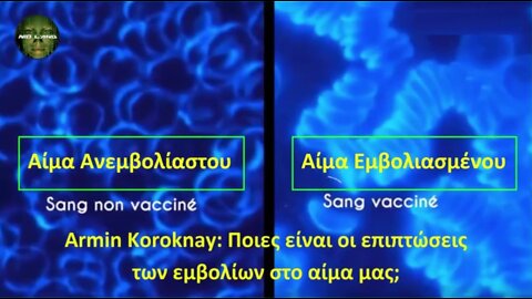 Armin Koroknay: Ποιες είναι οι επιπτώσεις των εμβολίων στο αίμα μας;