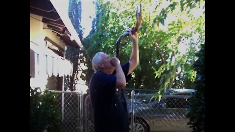 Blow The Shofar, Jesus Is Coming Soon!
