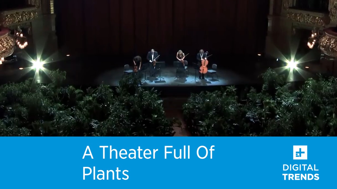 A Theater Full Of Plants!