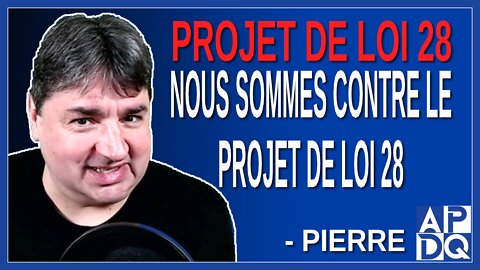 Alexandra Pierre présidente ligue des droits et libertés nous sommes contre le projet de loi 28