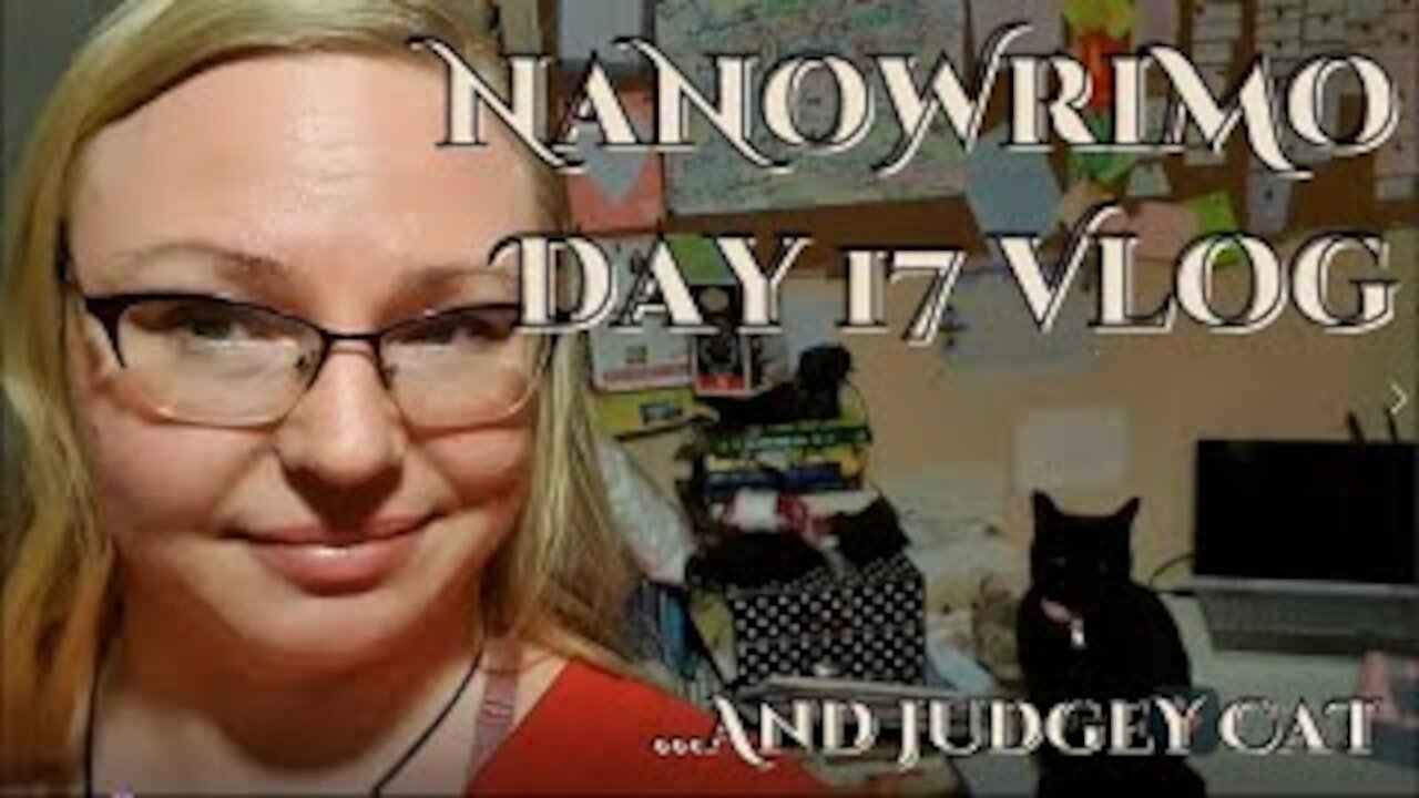 NaNoWriMo Day 17 Vlog