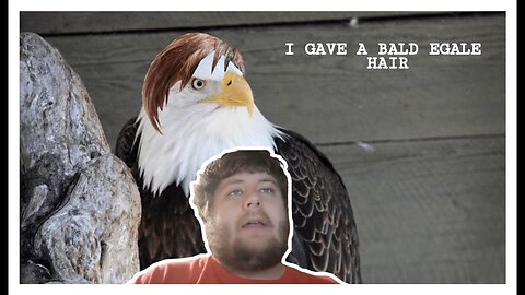 Me Give A Bald Eagle Hair (Storytime)