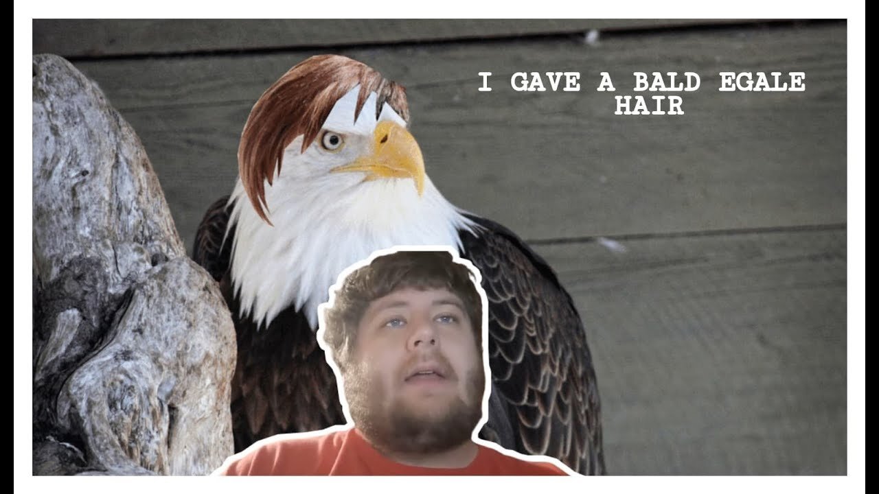 Me Give A Bald Eagle Hair (Storytime)