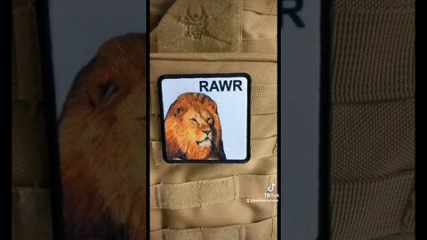 lol rawr #lion #fashion #hiphop #rap #rawr #animals #shorts