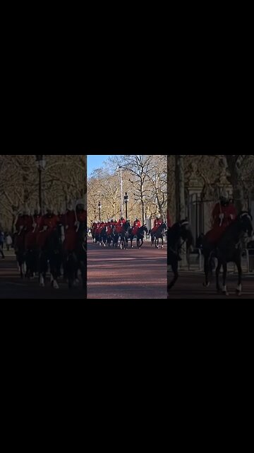 The household cavalry on the mall #buckinghampalace