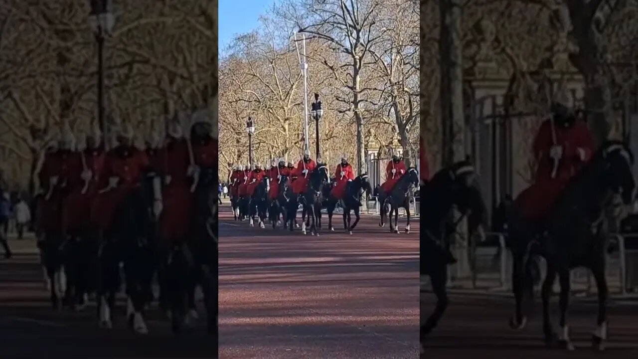 The household cavalry on the mall #buckinghampalace