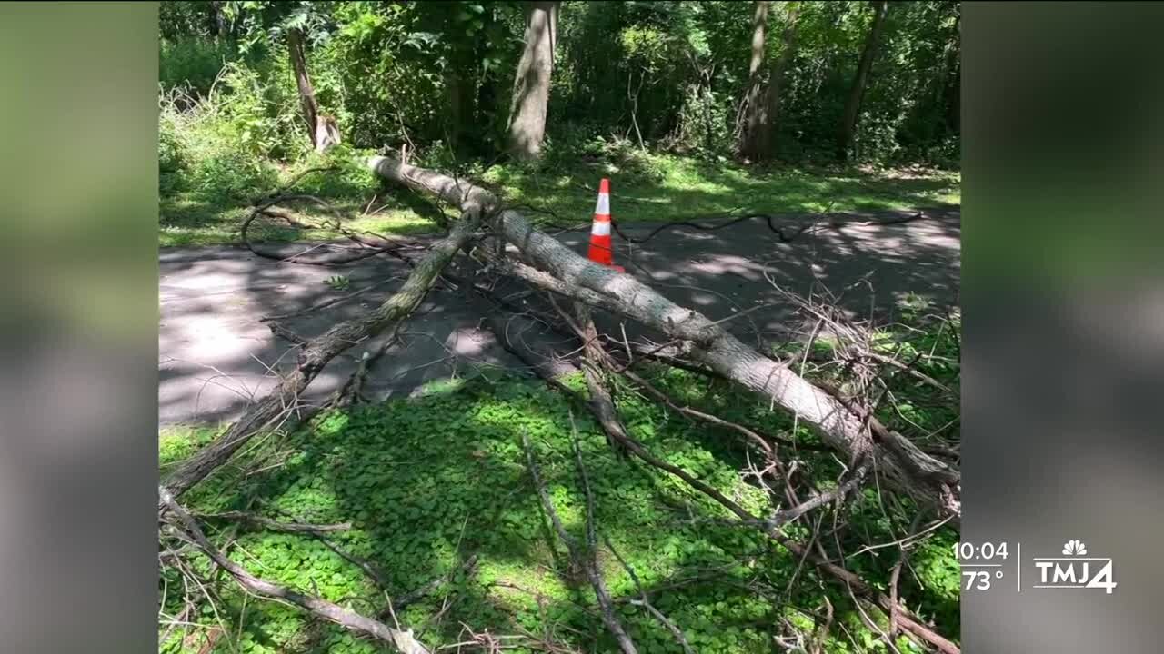 Neighbors recount SE Wisconsin's severe storm on Friday