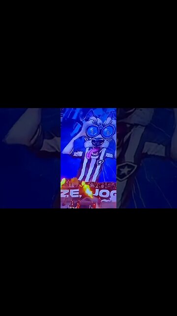 🔥OLHA ESSE BANDEIRÃO! O BIRIBA TÁ AVISANDO. RESPEITEM!!! #botafogo #brasileirão #segueolíder