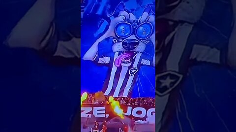 🔥OLHA ESSE BANDEIRÃO! O BIRIBA TÁ AVISANDO. RESPEITEM!!! #botafogo #brasileirão #segueolíder