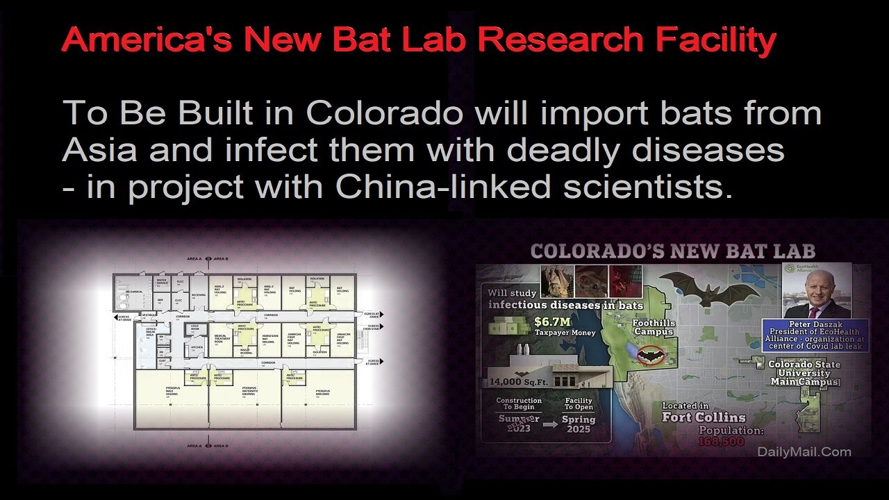 America's New Bat Lab Research Facility To Be Built In Colorado And To Open In 2025