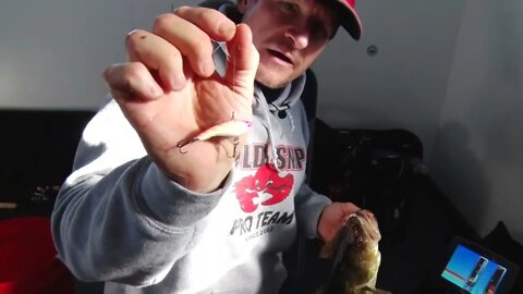 Tips of the Week: Aggressive Presentations for Ice Fishing Walleyes. Ep. 1917