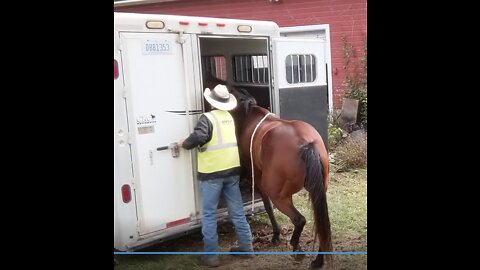 JJ - send in - tail tug to back out - trailering training session - 26 Sept 2022