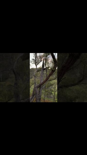 Beautiful Blue Mountains Australia