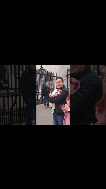 How cute #horseguardsparade