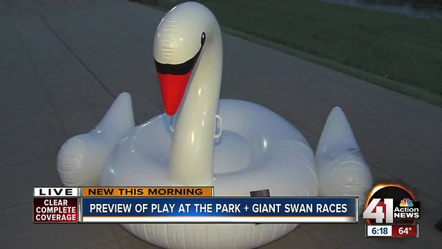 Preview of Play at the Park, giant swan races