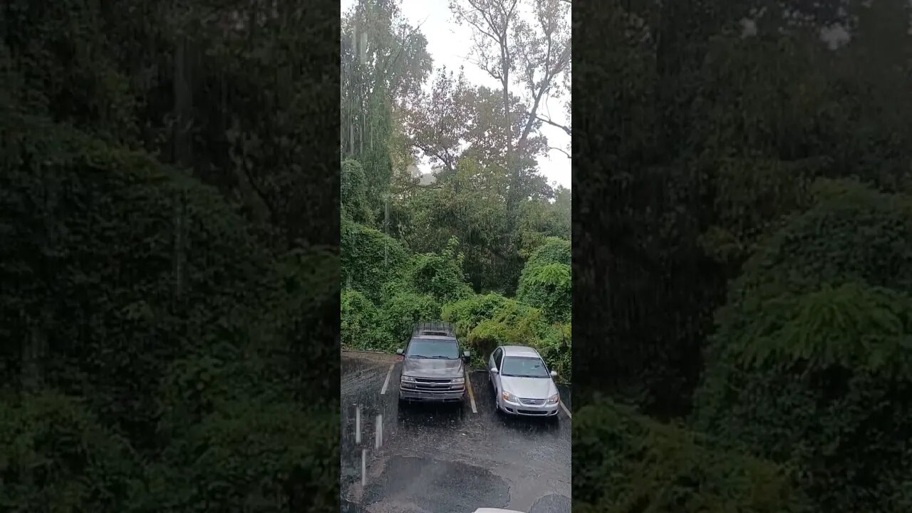 Chemtrails coming down in the rain.