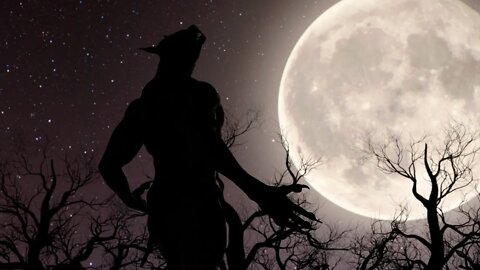 Secrets of the Skinwalkers from a Navajo Perspective