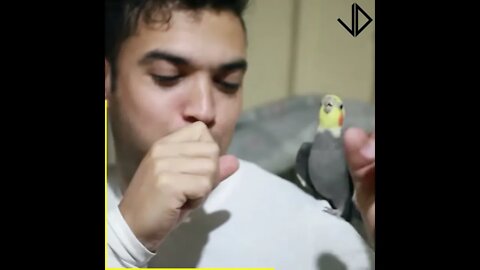 Cute Birds and Humans doing funny things together