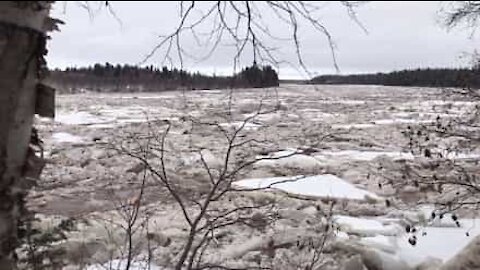 Strepitoso fenomeno in un fiume del Canada