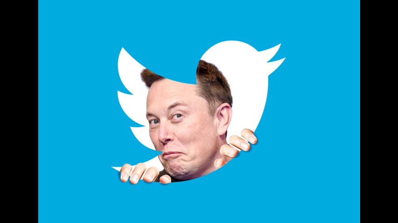 With Elon Musk taking over Twitter, are we looking at a dangerous future-