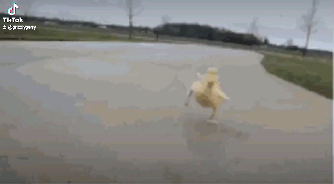 THEY ARE RUNNINGBFROM BIDEN