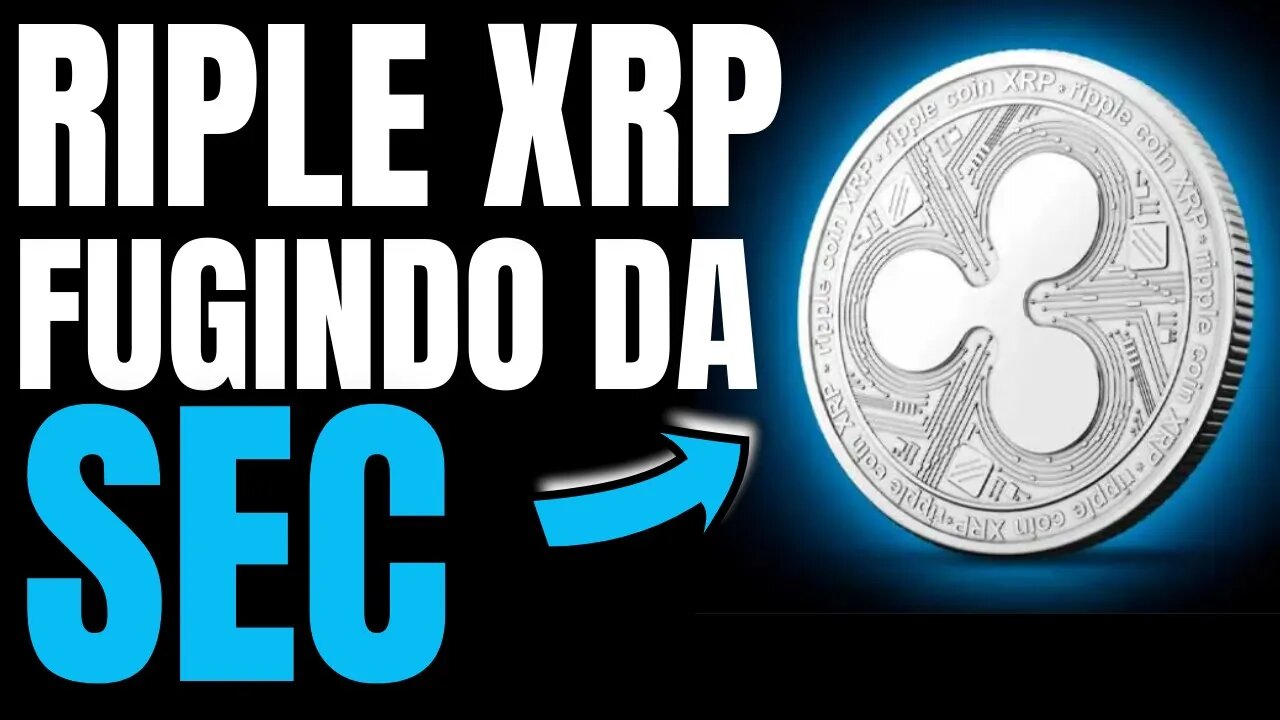 CEO DA XRP CONVOCA TODOS PARA IR CONTRA SEC OU SAIR DOS EUA