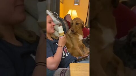 Wireless Tasting